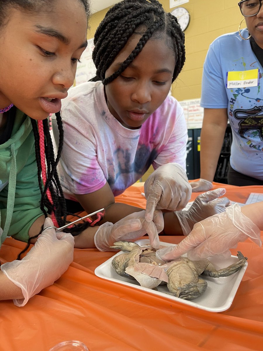 Lyons Farm Elementary School Principal tweet media