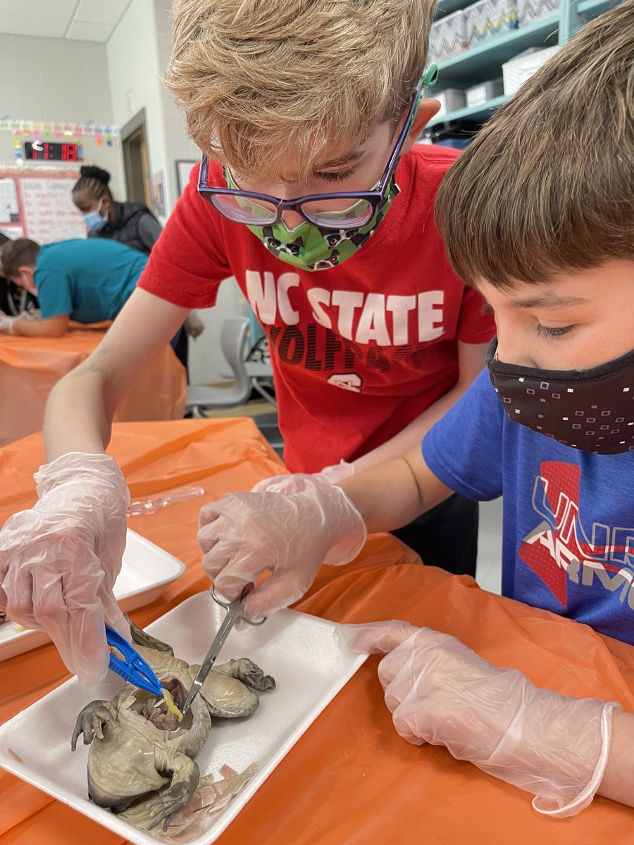 Lyons Farm Elementary School Principal tweet media