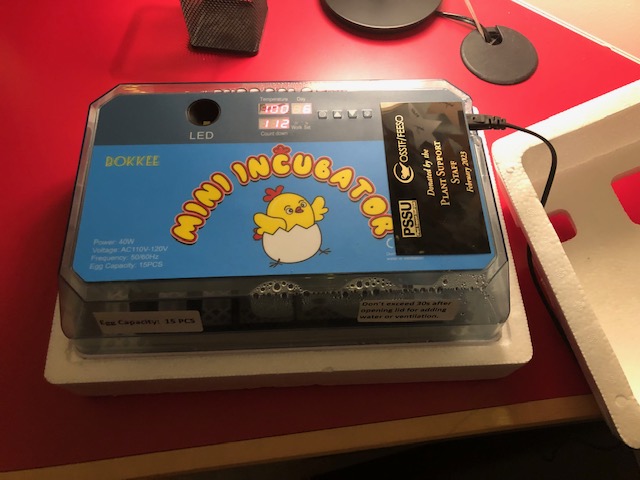 Waiting for my new roommates to arrive - 15 days to go - fingers crossed! #chicksandbooks #librarychicks ⁦
<a href="/ManorParkPS/">Manor Park PS</a>
⁩ ⁦
<a href="/OCDSB/">OCDSB</a>