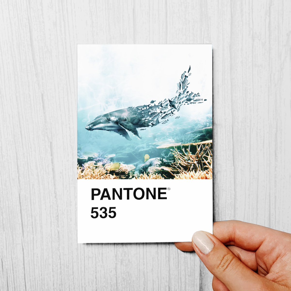 heyluisa_'s tweet photo. Day 13 of the #pantonechallenge2023
Prompt: whale https://t.co/uH2nyocOco