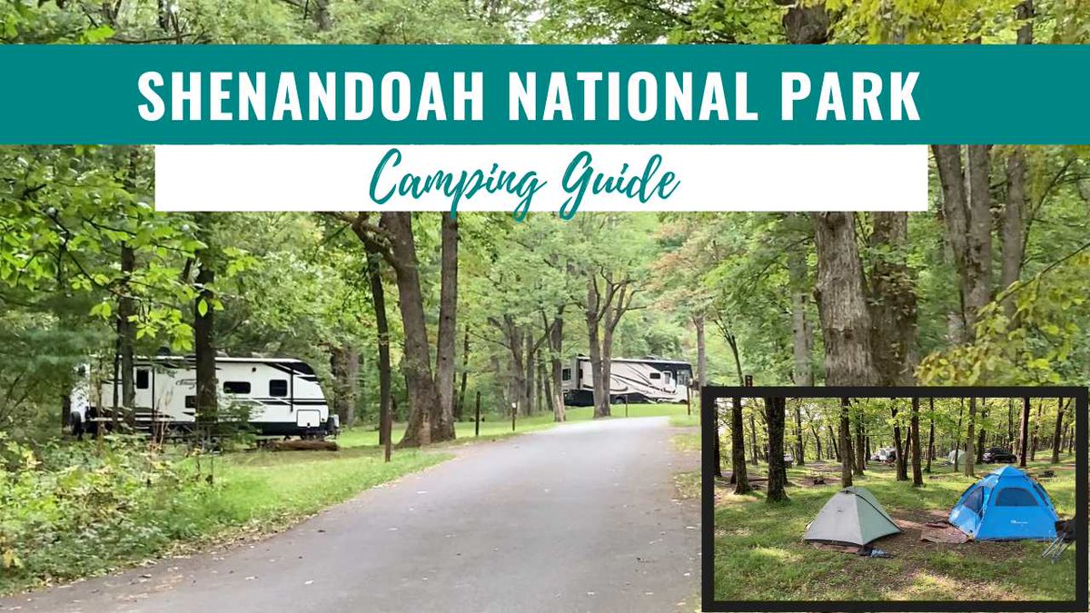 chickerystravel's tweet photo. Learn all about camping at Shenandoah National Park here! https://t.co/qfki9qzgeb https://t.co/7n2JeoeIhs
