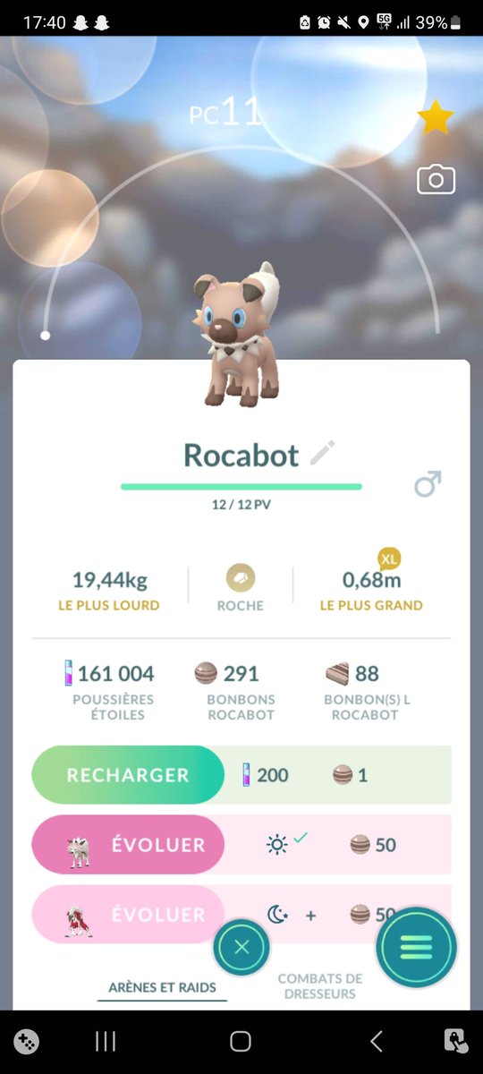 Found some goodies today.

Special mention for the level 1 rockruff.
