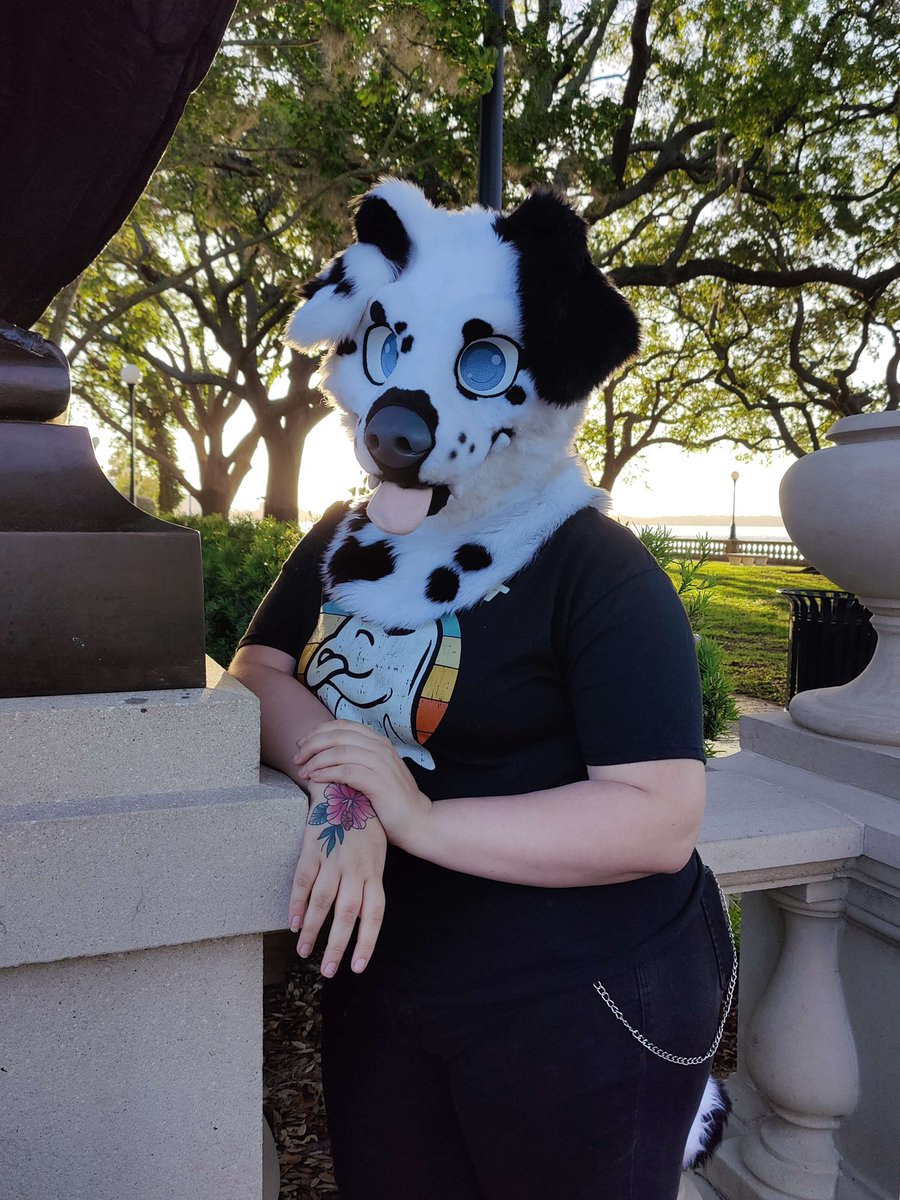 miloandfriends1's tweet photo. Please welcome Skye to our family! She is a Dalmatian, and another floppy ear pupper!
#furry #fursuit #fursuits #fursuiter #multisuiter
#partialfursuit #bordercollie #dalmatian #floridafur
#floridafurry #floridafurries #furryfandom #furrycommunity
#fursuitreveal #miloandfriends https://t.co/F9byCMEEjV