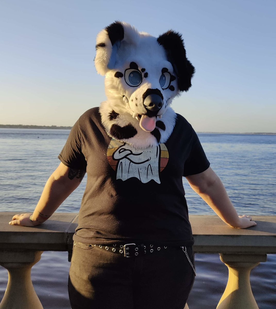miloandfriends1's tweet photo. Please welcome Skye to our family! She is a Dalmatian, and another floppy ear pupper!
#furry #fursuit #fursuits #fursuiter #multisuiter
#partialfursuit #bordercollie #dalmatian #floridafur
#floridafurry #floridafurries #furryfandom #furrycommunity
#fursuitreveal #miloandfriends https://t.co/F9byCMEEjV