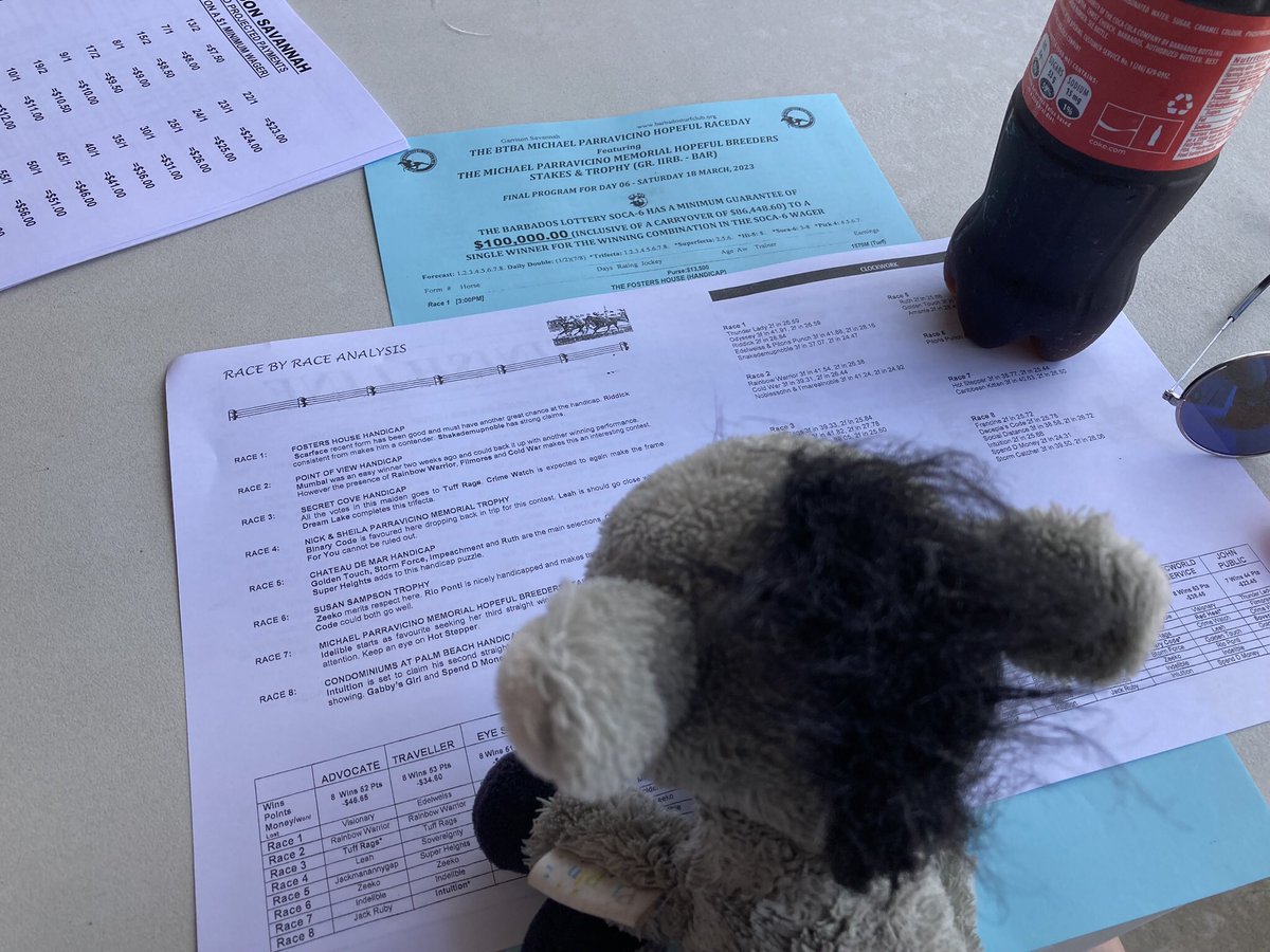 Intrepid_Dennis's tweet photo. An afternoon/evening at the races! #GarrisonSavannah ๐๐๐ป๐๐ป๐๐ป https://t.co/RtiDPPMDwv