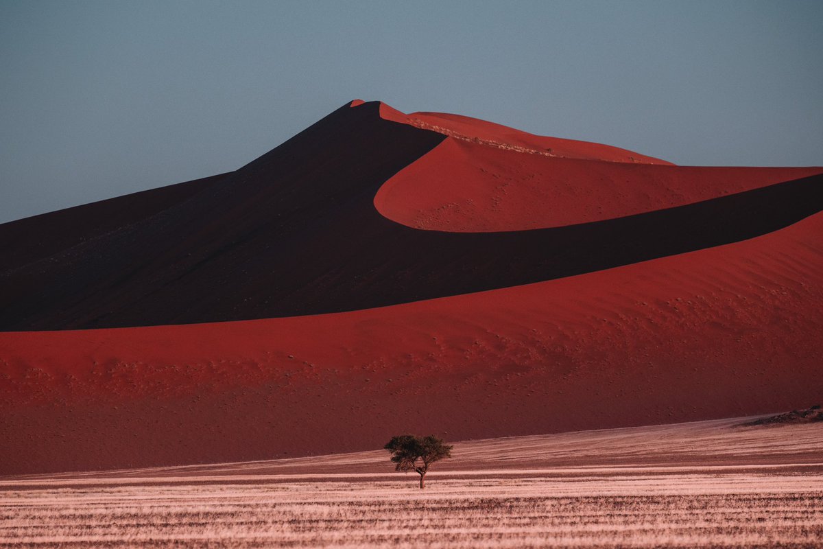 Isolation is live for mint!! Near halfway sold on pre-reserves so get in quick! An edition of 50 
A moment in Namibia where the light and shadows compliment each other perfectly 🤍