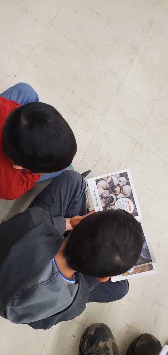 msjweir's tweet photo. Today was our March spirit day, Buddy Class Day! We got to pair up with Ms. Mann's 4/5 class for some reading. https://t.co/HLkCdFNFEQ