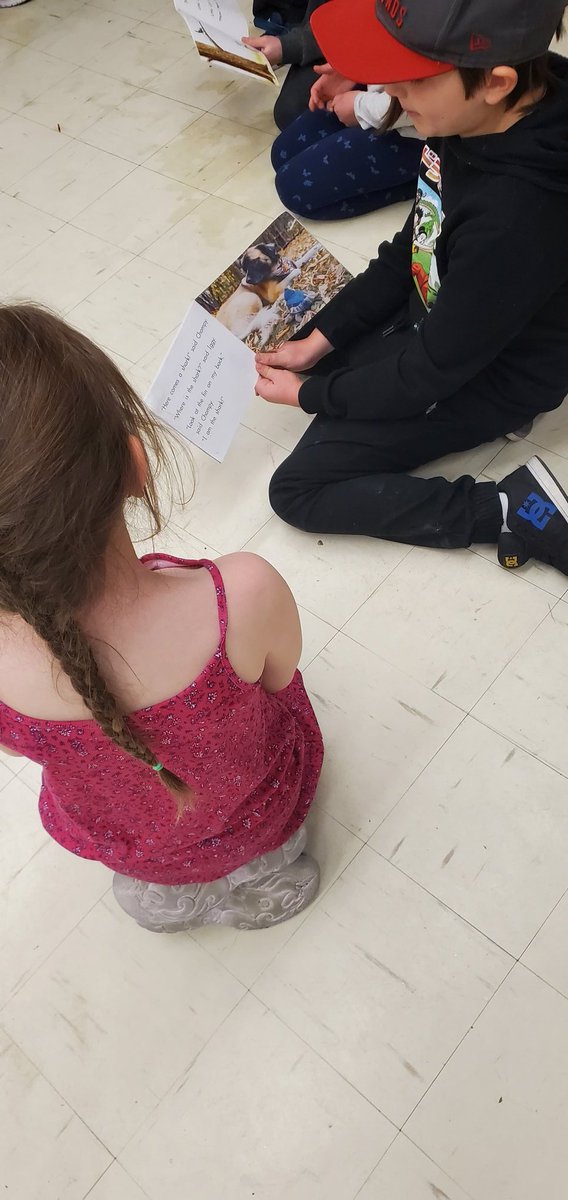 msjweir's tweet photo. Today was our March spirit day, Buddy Class Day! We got to pair up with Ms. Mann's 4/5 class for some reading. https://t.co/HLkCdFNFEQ