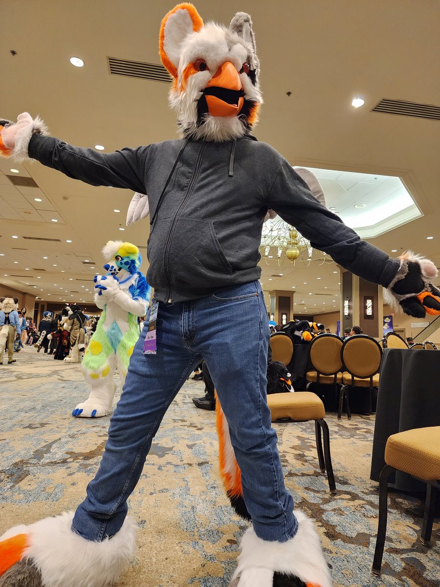 brianTheBlueJay's tweet photo. Happy #FursuitFriday everyone! I've got a couple pictures from TFF of a suit I haven't really shown off before. So, say hello to Avery (and special guest @DarkPhox)! https://t.co/g5S9HdIRrP