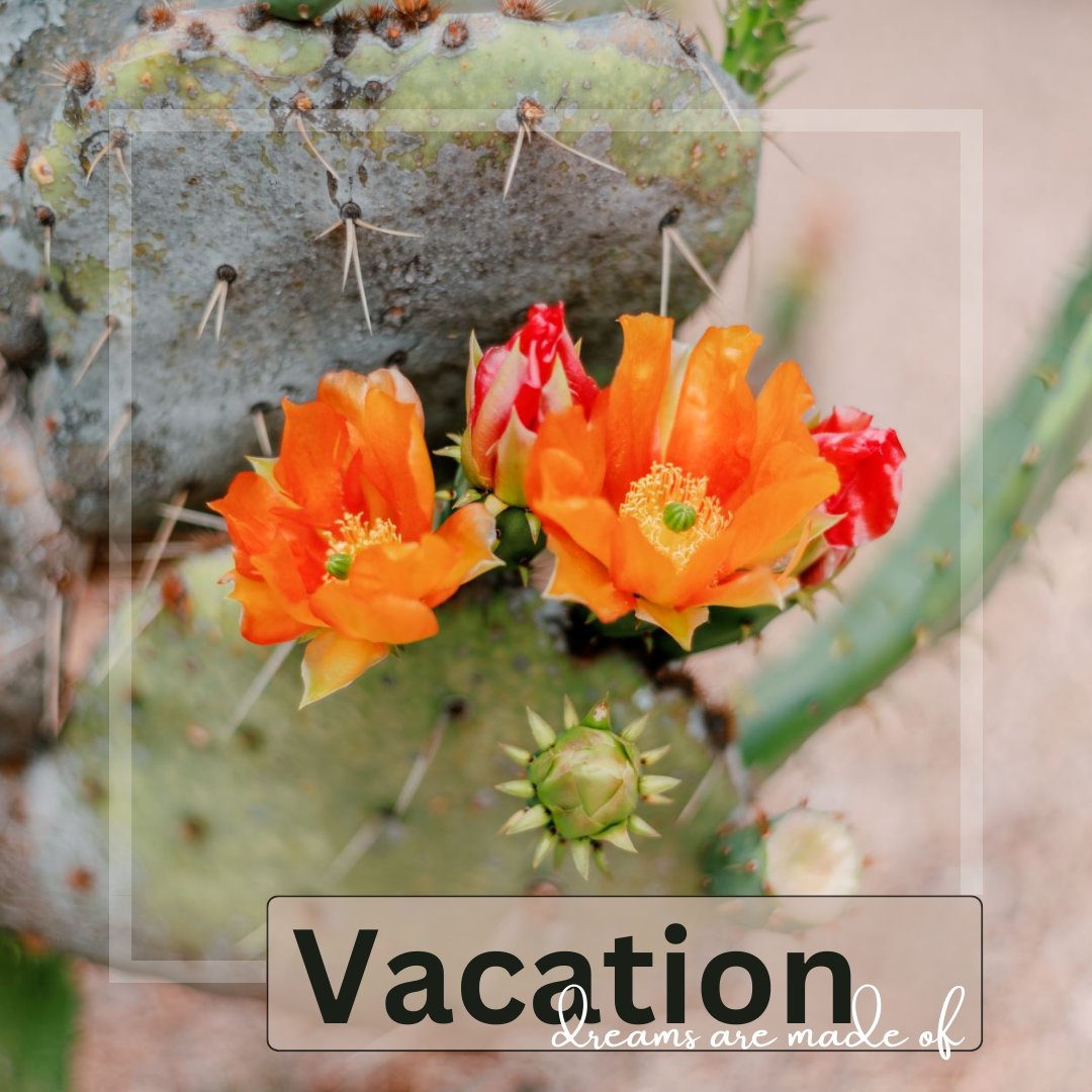 JLBarRanch's tweet photo. Spring has sprung and the vibrant colors of the foliage are begining to enhance the beauty of the Hill Country's landscape. Unplug, Relax, Unwind, and Recharge with a secluded weekend staycation at @TheJLBar. Memories are waiting to be made... it's time to focus on you. https://t.co/e93ZWA72BS