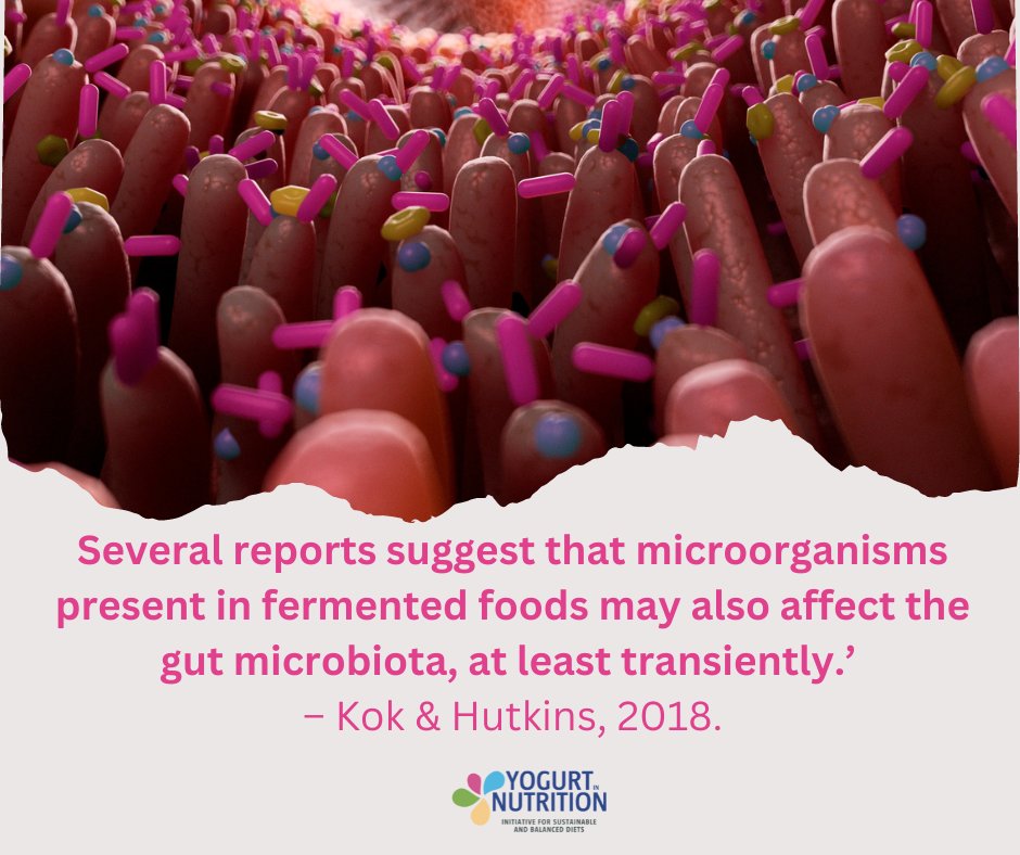 Yogurt in Nutrition on Twitter "RT YogurtNutrition The community of