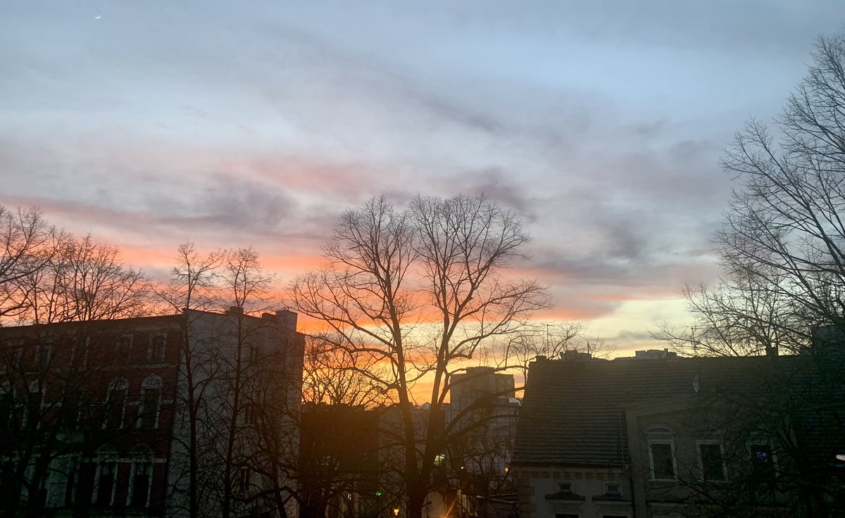 Maciej Noskowicz tweet media