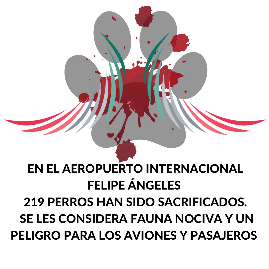 Ya cierren ese aeropuerto. ¡Carajo! 🤬
#AIF2023 #AeropuertoInternacionalFelipeÁngeles