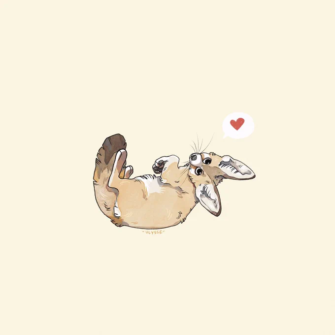A small fennec as support for these difficult times (especially in France)!  