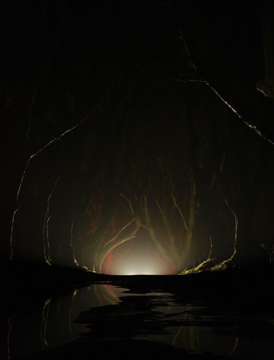 When you don't get the Aurora display you were hoping for on the north coast, create your own on the way home. :) <a href="/WeatherCee/">Cecilia Daly</a> <a href="/angie_weather/">angie phillips</a> <a href="/barrabest/">Barra Best</a> <a href="/BBCNewsNI/">BBC News NI</a> <a href="/coolfm/">Cool FM</a> <a href="/CarlingfordIRE/">Carlingford Lough</a>