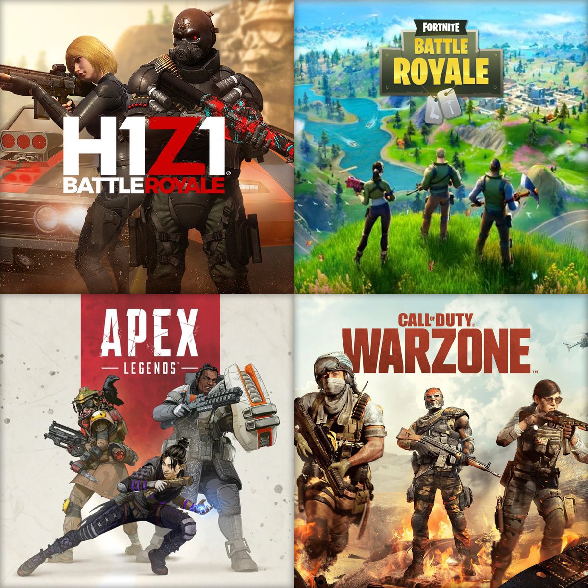 Which Battle Royale would you pick 😳