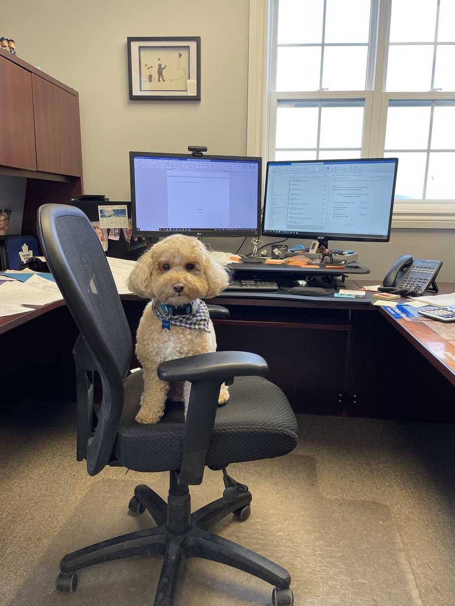MayaaPryce2a's tweet photo. What’s next on the to do list? #dogdays https://t.co/kcoDmEaPQu