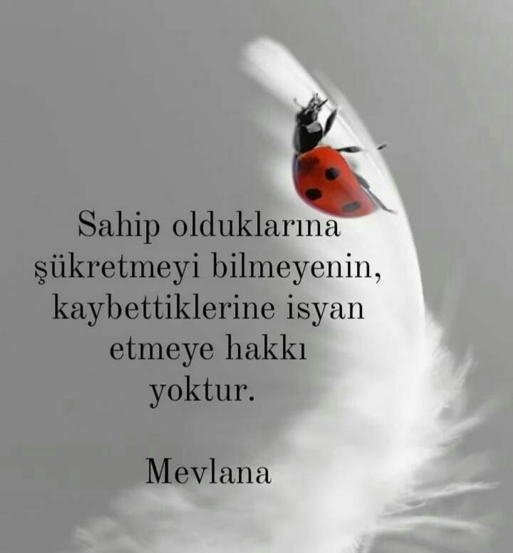 Van Bey (@lockvanlock) on Twitter photo 