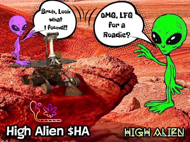 cryptopurrfect's tweet photo. @iiTejck @cryptojohn34 #HighAlien about to get blasted into outer space. #420x https://t.co/MGBJHWsJci