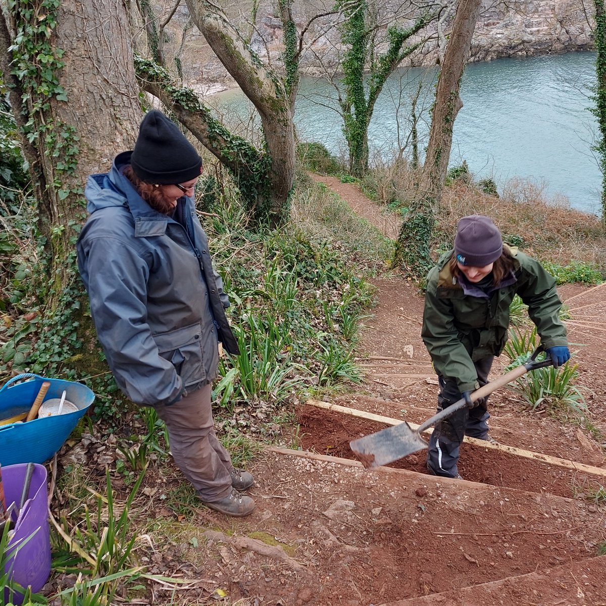 BerryHeadRanger's tweet photo. The Berry Head team has been working further around the coast this week at Churston Cove, improving the steep steps that lead down to this beautiful beach.

#churstoncove #footpathmaintenance https://t.co/YPrTxVdxlA