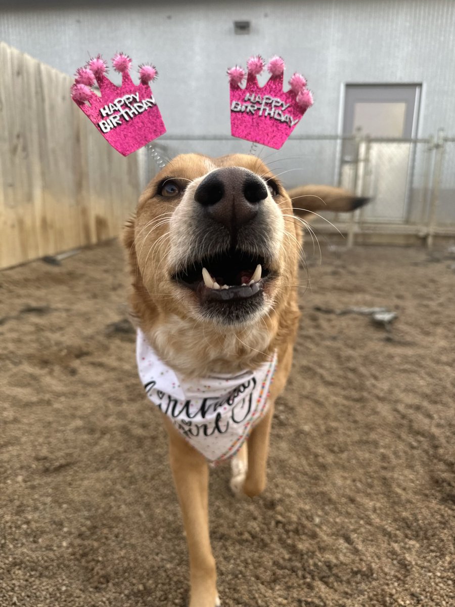 Kenna Dehn tweet media