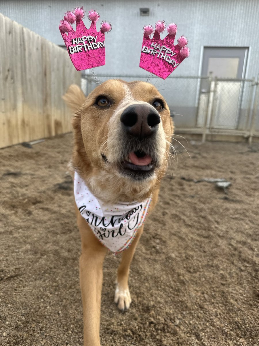 Kenna Dehn tweet media