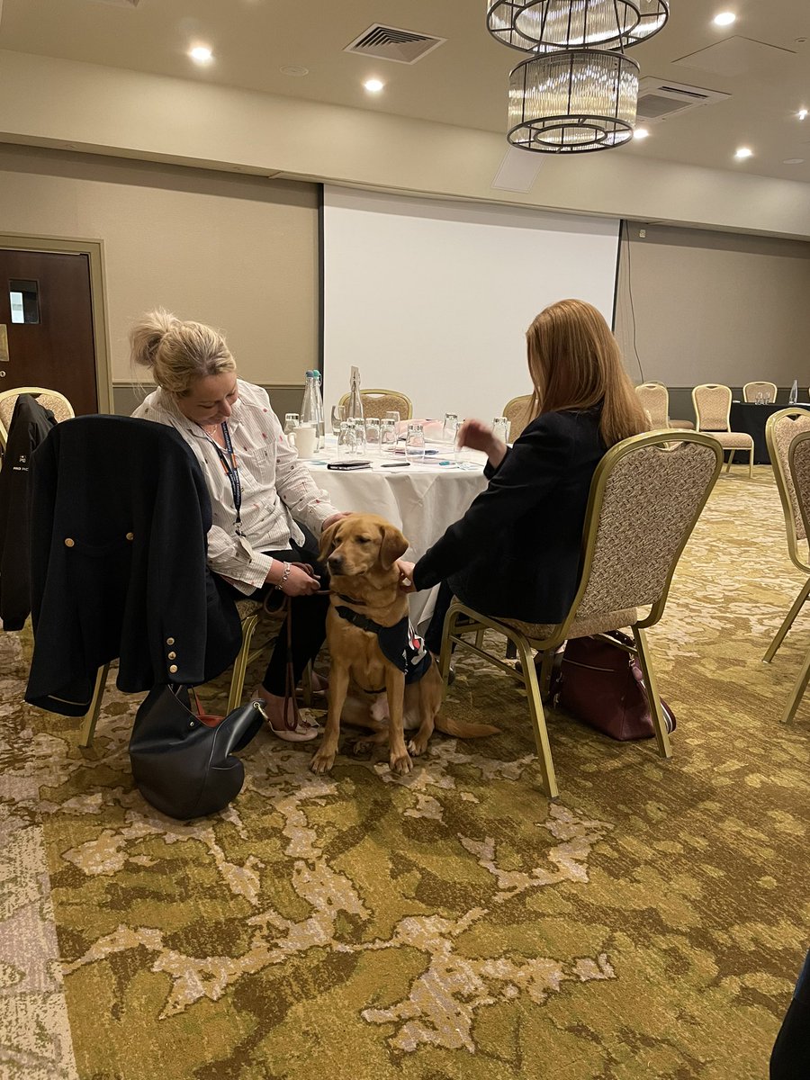 Durham Constabulary OK9 Wellbeing and Trauma Dogs tweet media