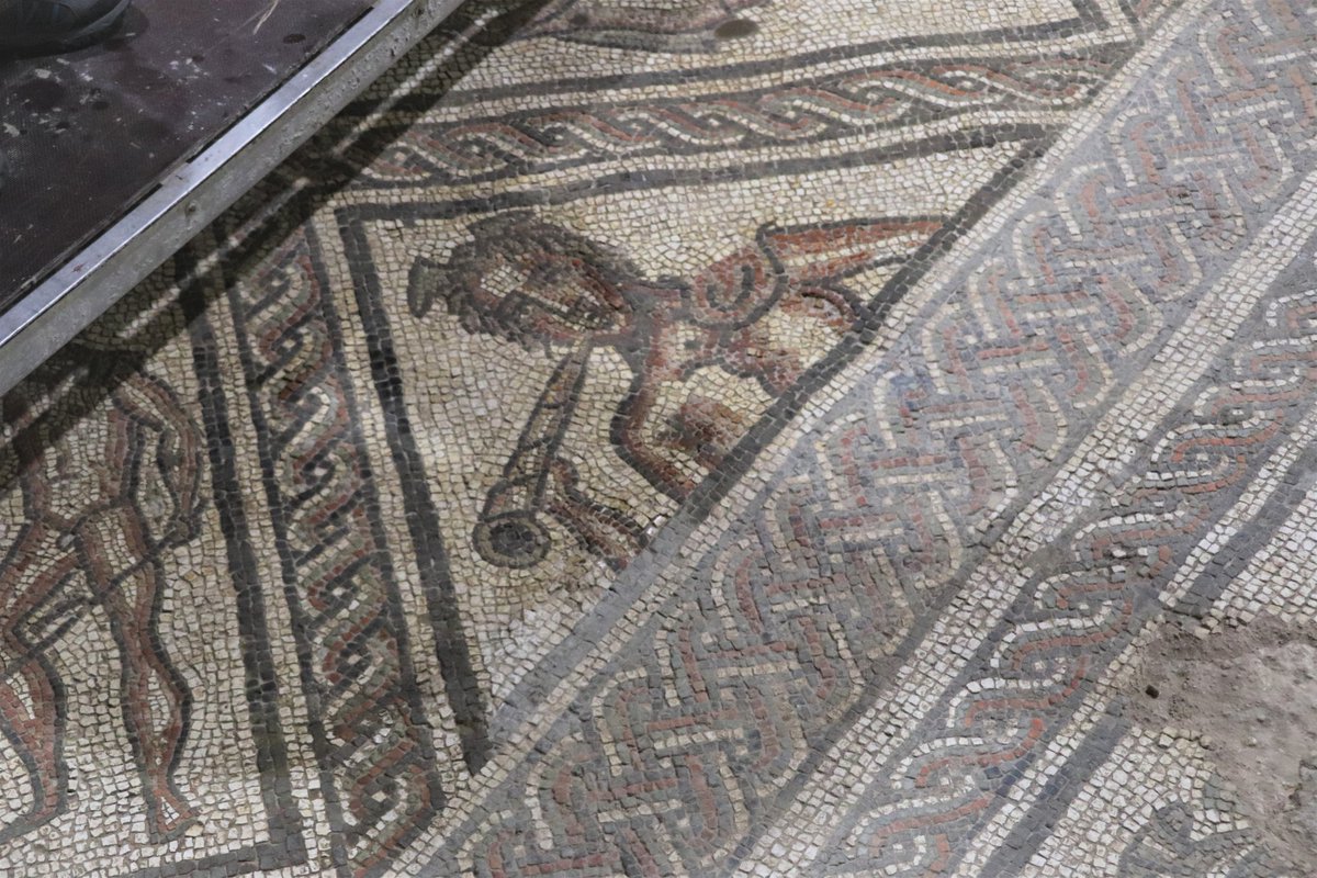 romanarchaeouk's tweet image. They're cleaning the mosaics at Brading #Roman villa, which makes such a difference to the colours!

Now is an ideal time to visit - especially with David Tomalin's 'Roman Vectis' book signing at Brading tomorrow (Saturday, 10am to 1pm) #Wight #Archaeology