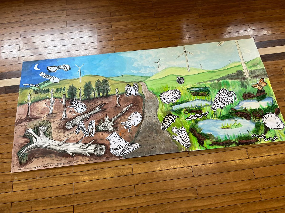 CymerPrimary's tweet photo. Thank you to Klara, Sarah and Carys from the @LostPeatlands for such a fantastic day with #CAPOakclass 😊 They had a great opportunity to complete a wonderful piece of artwork as a class and most importantly, they had a lot of fun! #cymerafaneco https://t.co/YaKXAKQzub