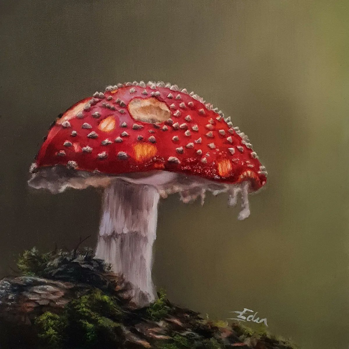 EdenPortraits's tweet photo. I'm now offering limited edition prints of this Fly Agaric toadstool. Just loved working with these colours. Photo Ref @steve34owen . Oil on board 14 x 14cm

#flyagaric #toadstool #toadstools #fairies #mushroom #fungi #oilpainting #beautifulnature #artist #oilportrait #stilllife https://t.co/eGRnkRTmPK