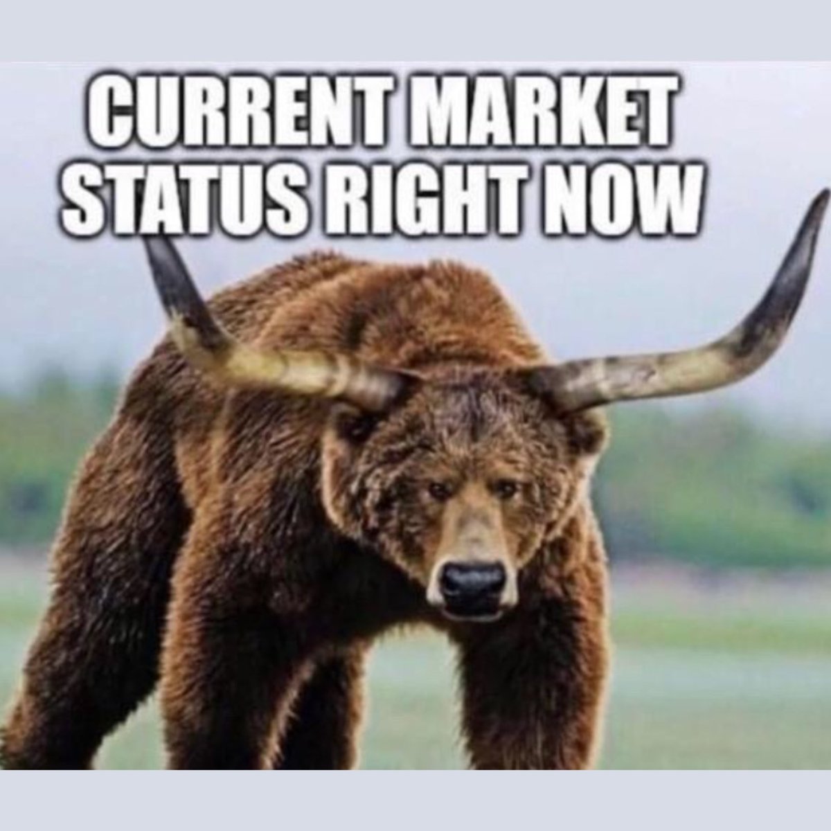 moonshot_x's tweet photo. Considering the that last few days 💀😂

Happy Friday!

#WallStreet #Market #Bitcoin2023 #bitcoinnews https://t.co/iVag0aeXXh