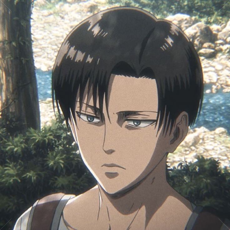 RoseLevi94's tweet photo. Levi is beautiful beautiful BEAUTIFUL ✨️ https://t.co/XBFZ5Rqsey