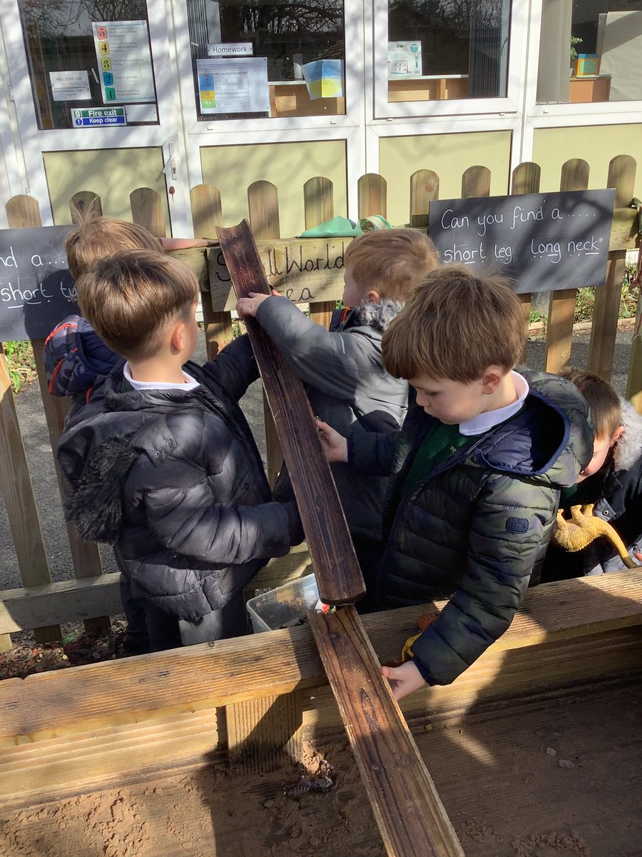 WideyBumblebee's tweet photo. Lots of collaboration in the garden today! https://t.co/uzOj0XVLS3