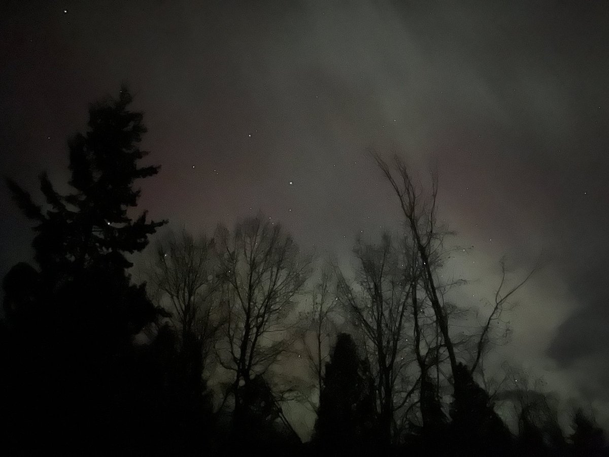 Alannimals tweet media