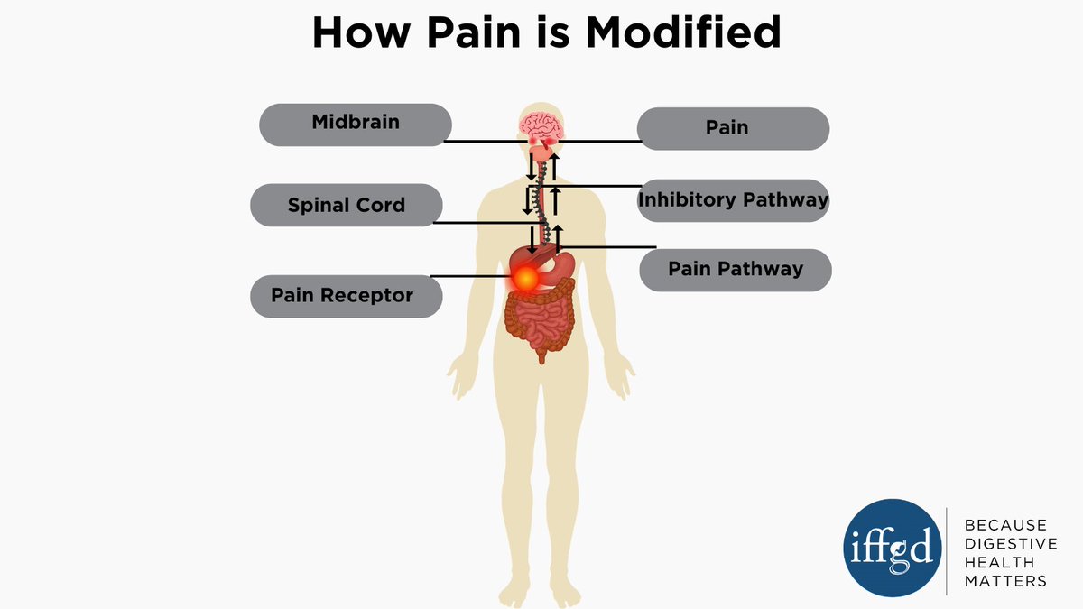IFFGD's tweet image. #CAPS is a #FGID that occurs due to altered sensitivity to nerve impulses in the gut and brain. Those with CAPS experience chronic abdominal pain that is often severe. Visit the webpage below to learn more about CAPS. #GITwitter

iffgd.org/gi-disorders/c…