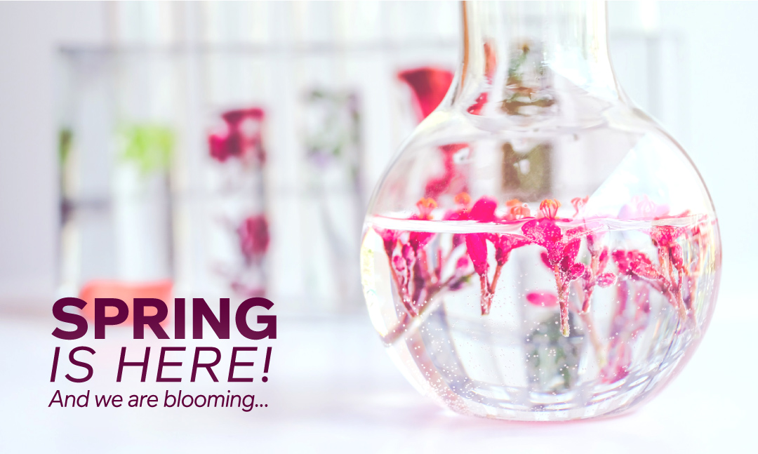 Cedarlane tweet media