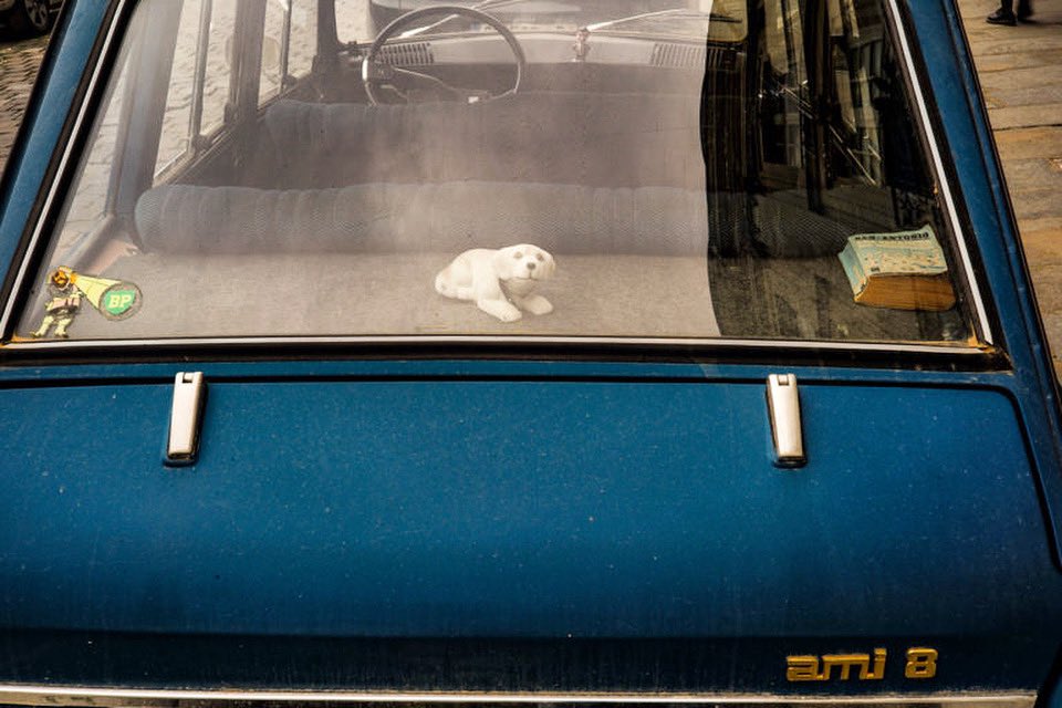 Le huitième ami. 

#ami8 #citroen #oldschool #chien #renanperon #rennes #streetphotography #street #photography #photooftheday #photographie #cars #urbain #fujix100f #decoration