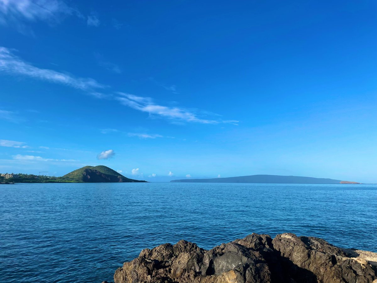 SDonsbach81's tweet photo. A perfect day to soak up the beauty of the world and some much needed vitamin D!!! #passtheSPF #aturtlecameforbreakfast #maui23 https://t.co/gutryC1zVM