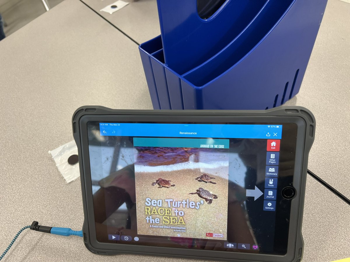 Ms_Honer's tweet photo. Yesterday we researched sea turtles! My class was heart broken to hear that sea turtles and another animals mistake trash for food. They decided to clean up our playground to help the animals in our area! ❤️ https://t.co/EA97EDBtXZ