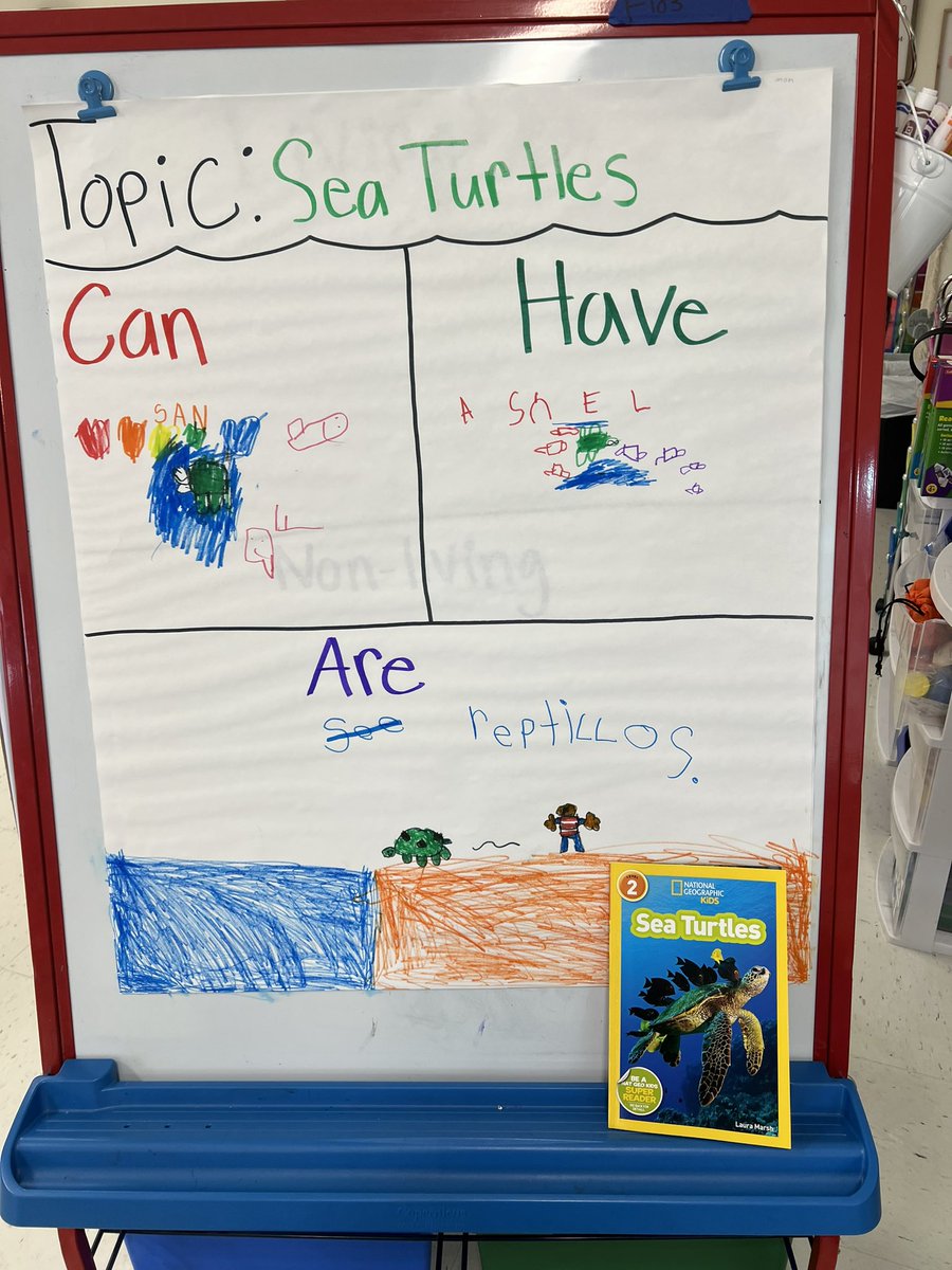 Ms_Honer's tweet photo. Yesterday we researched sea turtles! My class was heart broken to hear that sea turtles and another animals mistake trash for food. They decided to clean up our playground to help the animals in our area! ❤️ https://t.co/EA97EDBtXZ