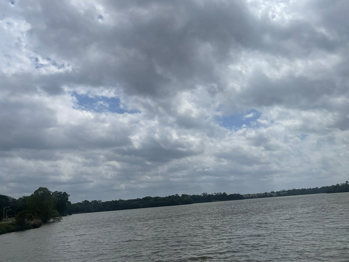 QueenMalarcher's tweet photo. Even when I can only see clouds in the sky, I appreciate seeing another day!☁️
#LSU #LSULakes https://t.co/D8LH8xVo0g