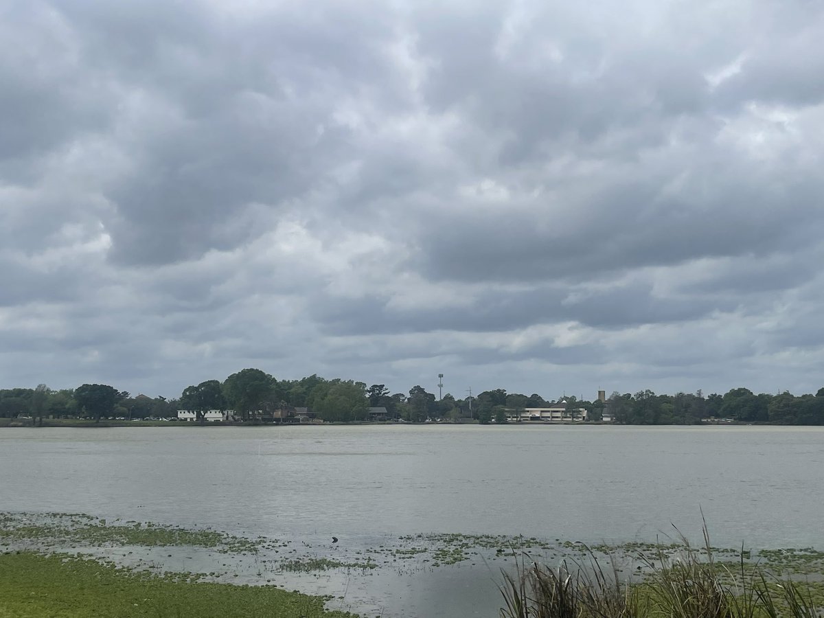 QueenMalarcher's tweet photo. Even when I can only see clouds in the sky, I appreciate seeing another day!☁️
#LSU #LSULakes https://t.co/D8LH8xVo0g