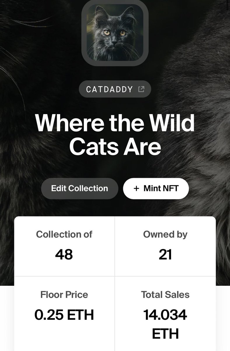 lord of the cats tweet media