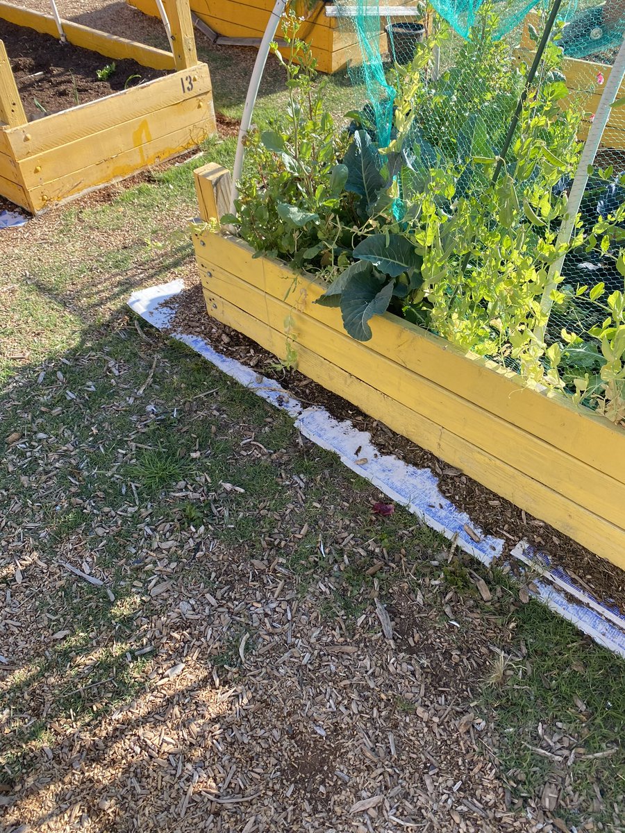 Kevin Robinson tweet media