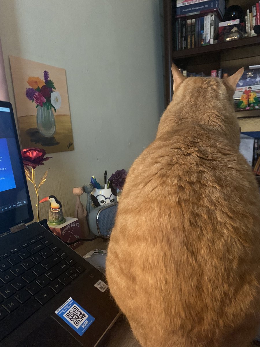 esmy_moon's tweet photo. Now he’s on my desk https://t.co/gqJyCrQQPG