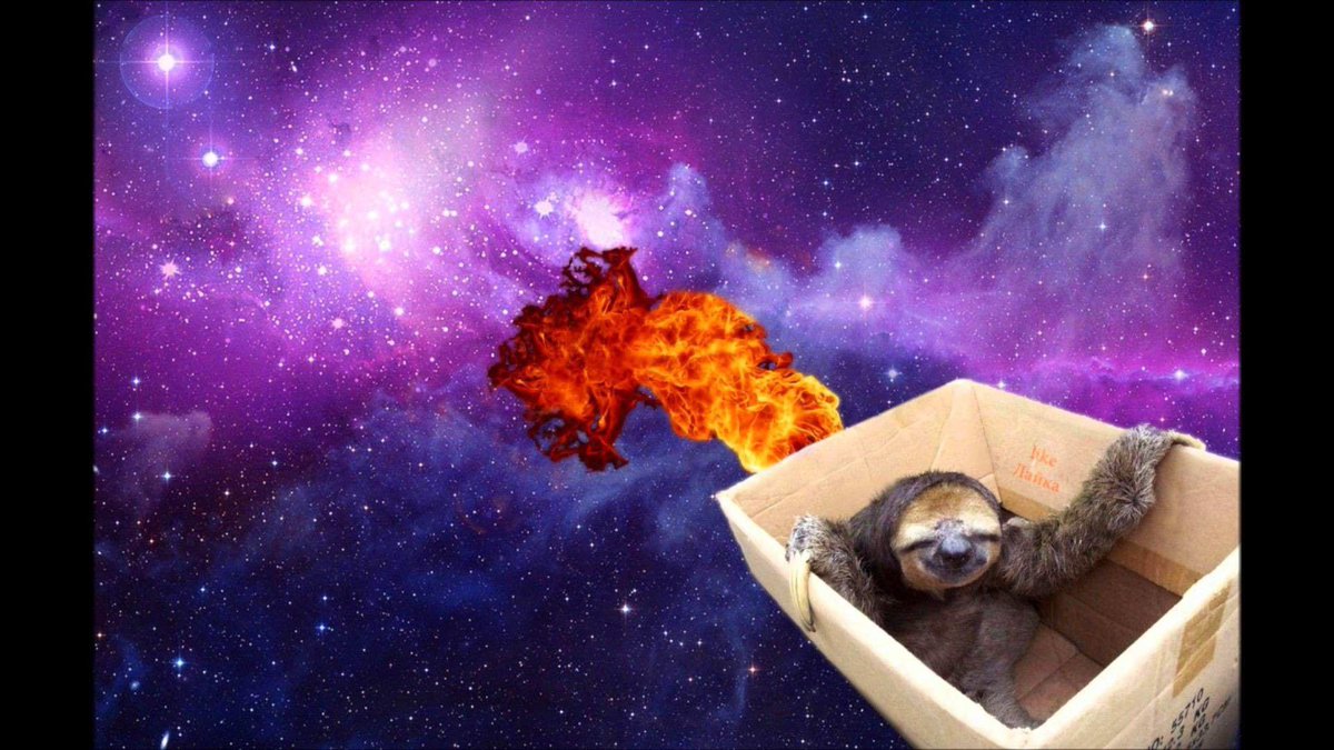 Space Sloths 🦥 tweet media
