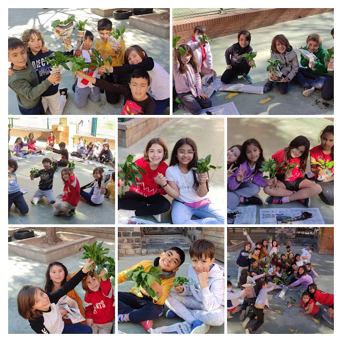 ☘️Collim espinacs i bledes a l’hort (3r)🌱
blocs.xtec.cat/lasedeta/2023/…