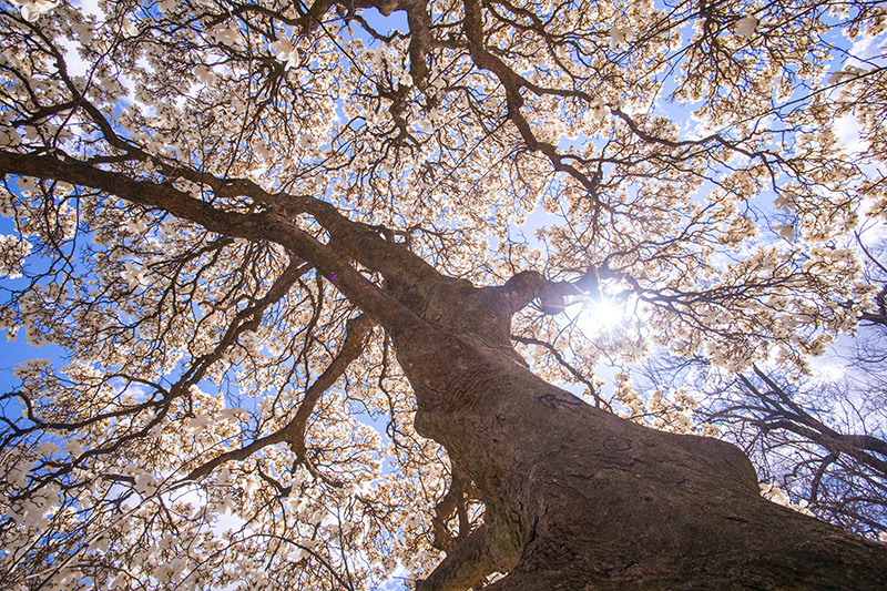 Anne Mills tweet media