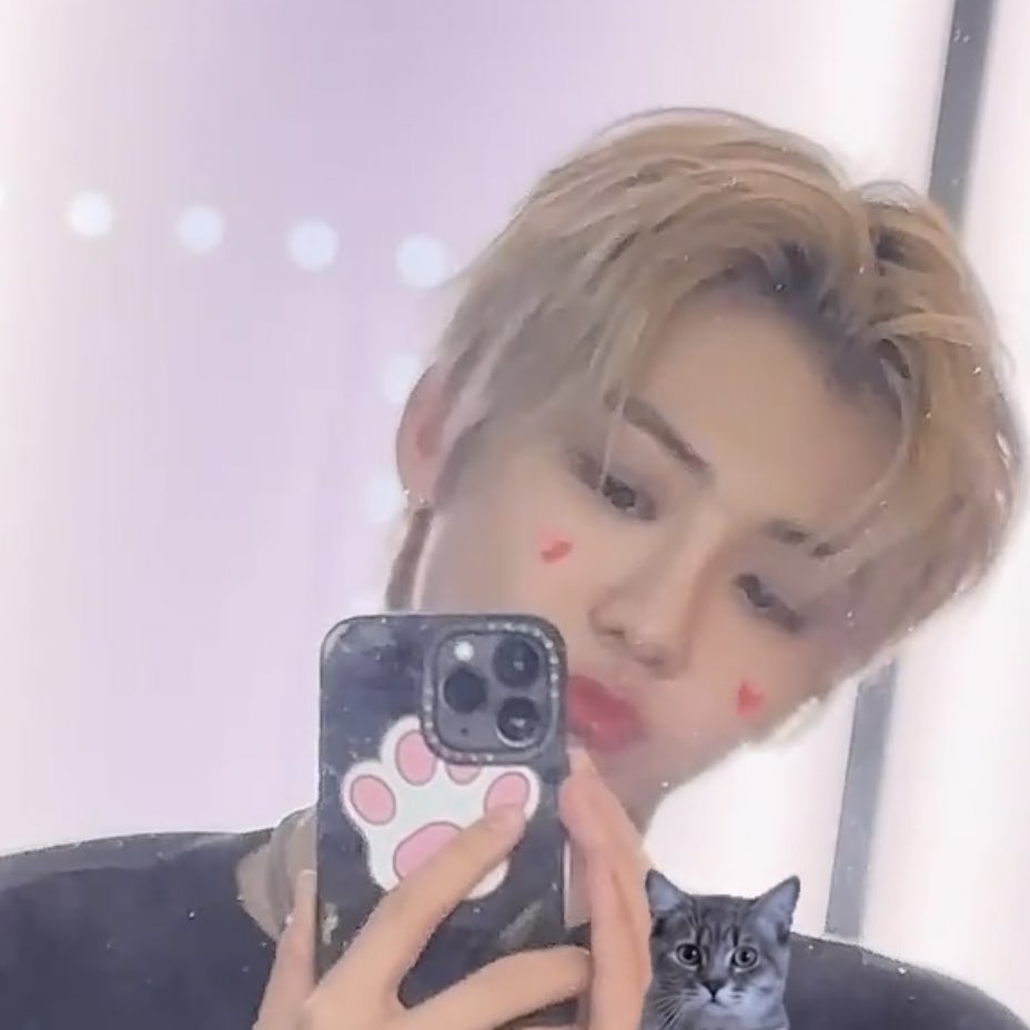 minyeolny's tweet photo. สนใจรับแมวส่มไปเลี้ยงม้ายยยย นุ้น่ารักน้าาา https://t.co/beoaQqwNbn