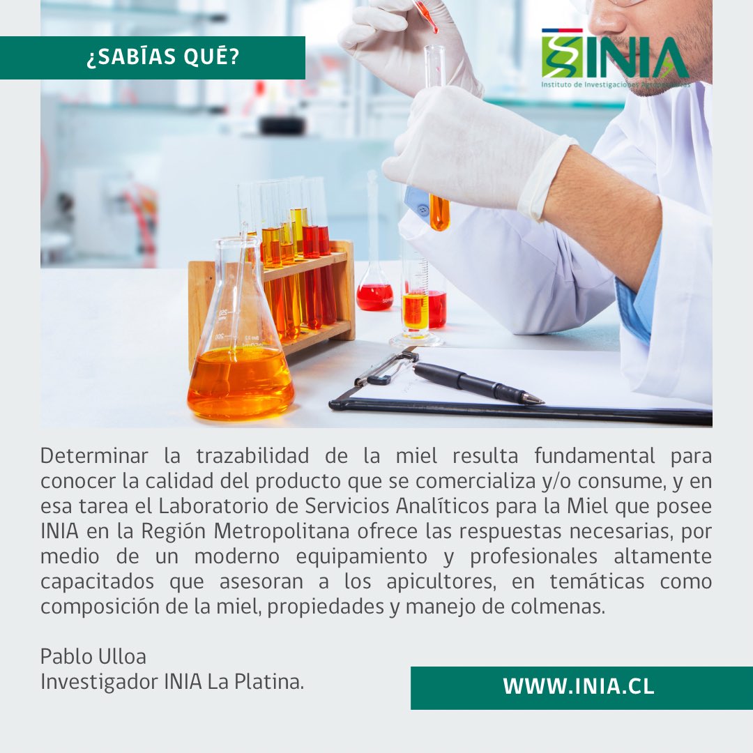 #SabíasQué en INIA La Platina tenemos un Laboratorio de Servicios Analíticos para la Miel? Este trabajo es liderado por el investigador de <a href="/iniachile/">INIA Chile</a> Pablo Ulloa 🍯🐝
Además, contamos con un extensionista especializado en temas apícolas, Felipe Gelcich.